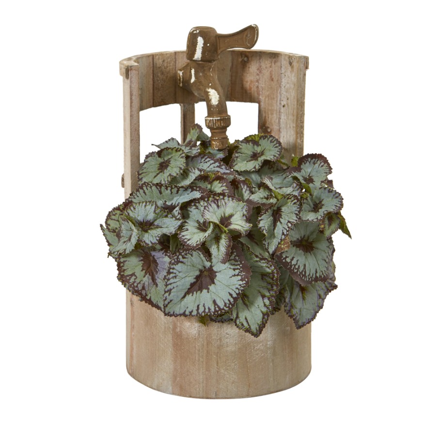 12in. Rex Begonia Artificial P - Begonia Rex のレビューと価格
