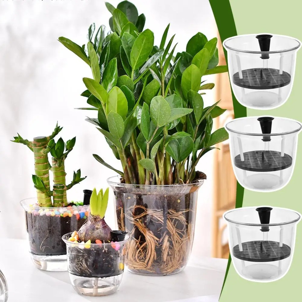 2Pcs Self-Watering Pot, Self-W - Aloe Vera Pot のレビューと価格