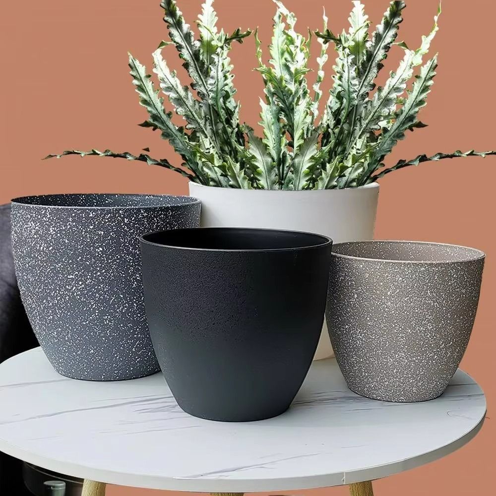 Frosted Imitation Stone Bonsai - Aloe Vera Pot のレビューと価格