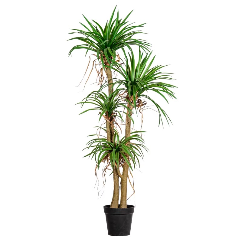 Indoor/Outdoor Home Tree Simul - Dracaena Marginata のレビューと価格