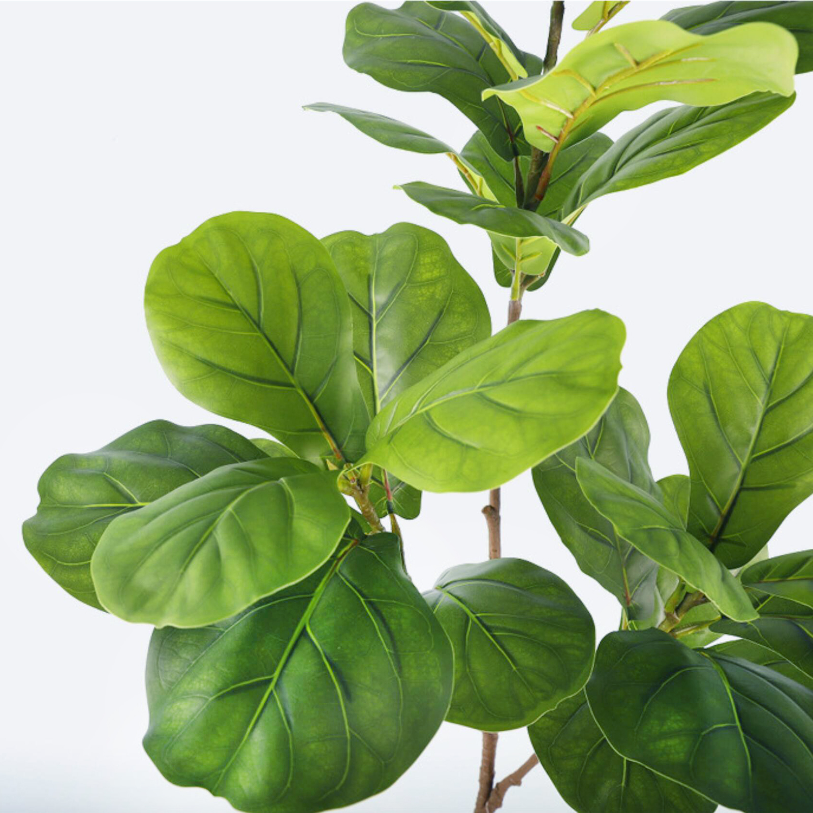 45-135cm  Artificial Fiddle Le - Ficus Lyrata Tree のレビューと価格