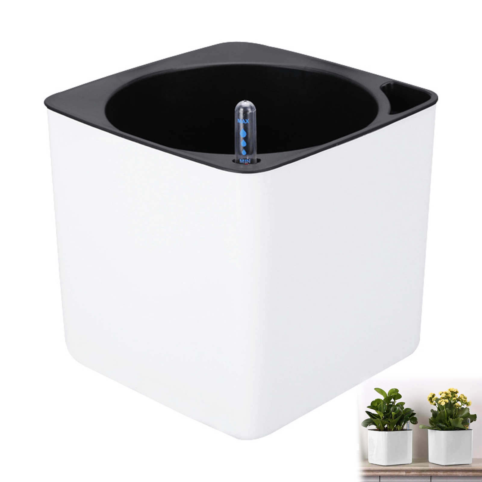 Automatic Self Watering Flower - Aloe Vera Pot のレビューと価格