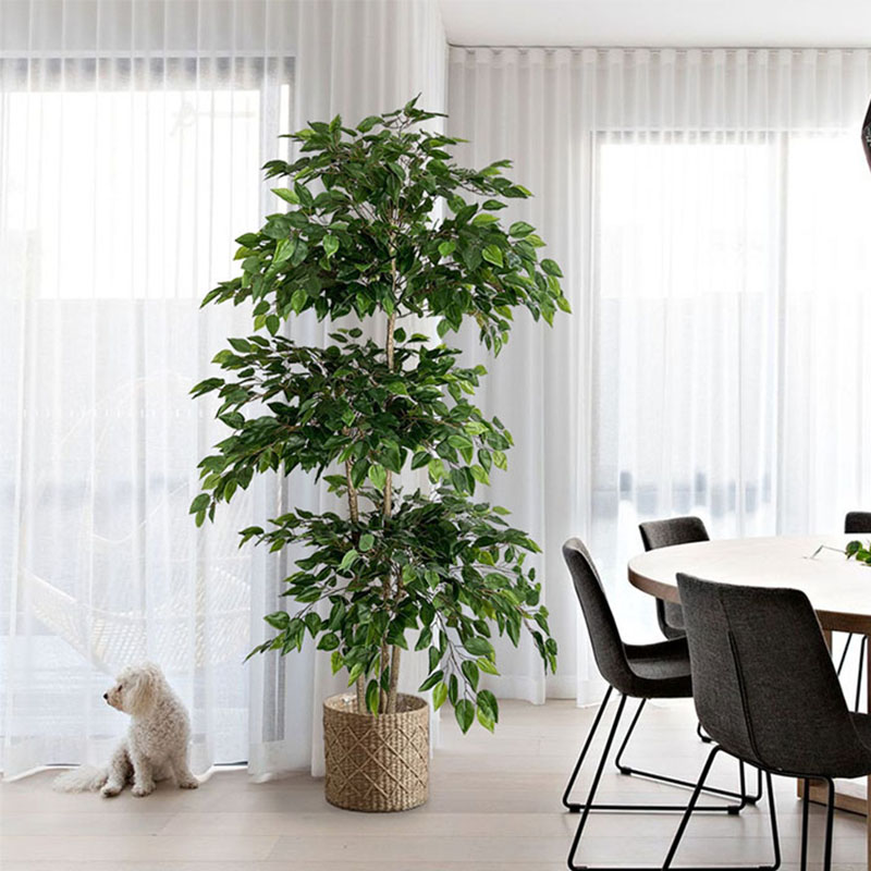 70in Ficus Artificial Tree Lar - Ficus Lyrata Tree のレビューと価格