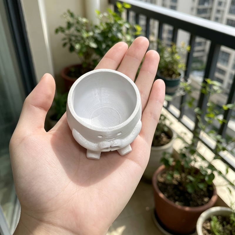1 PCS Cute Lucky Heart Flower  - Echeveria Succulent のレビューと価格