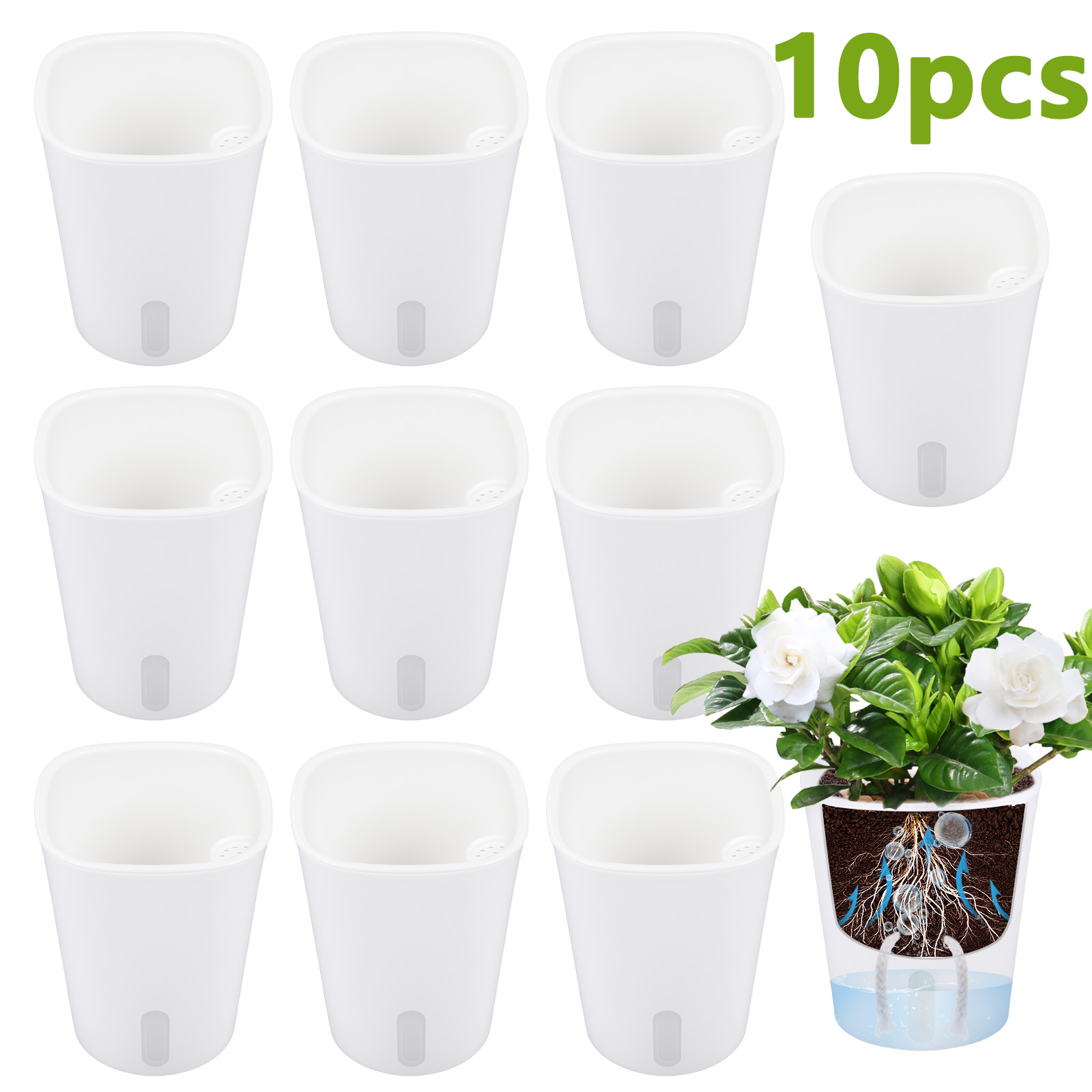 10Pcs Self Watering Plastic Fl - Aloe Vera Pot のレビューと価格