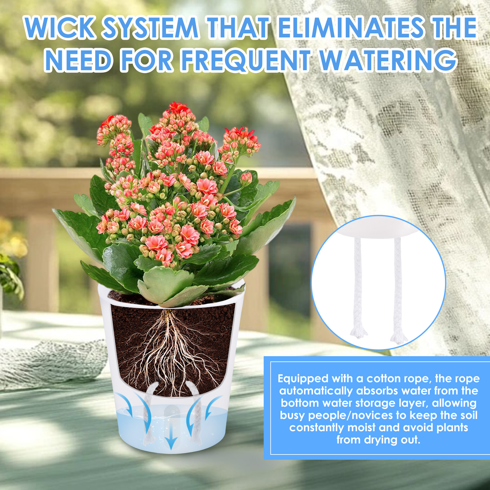 10Pcs Self Watering Plastic Fl - Aloe Vera Pot のレビューと価格