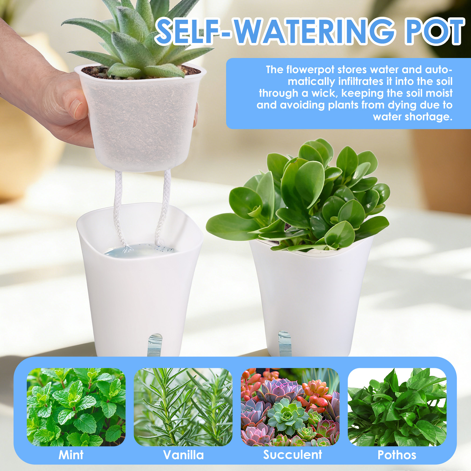 10Pcs Self Watering Plastic Fl - Aloe Vera Pot のレビューと価格