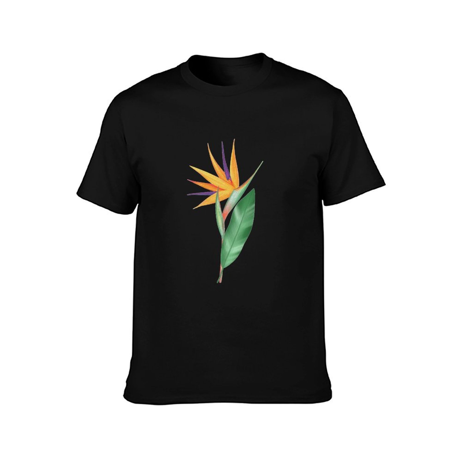 Watercolor bird of paradise fl - Bird Paradise Strelitzia のレビューと価格