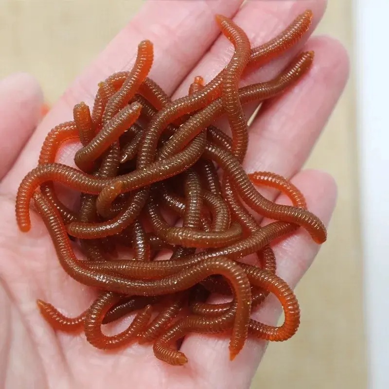 Lifelike Fishy Smell Red Soft  - Aglaonema Red のレビューと価格
