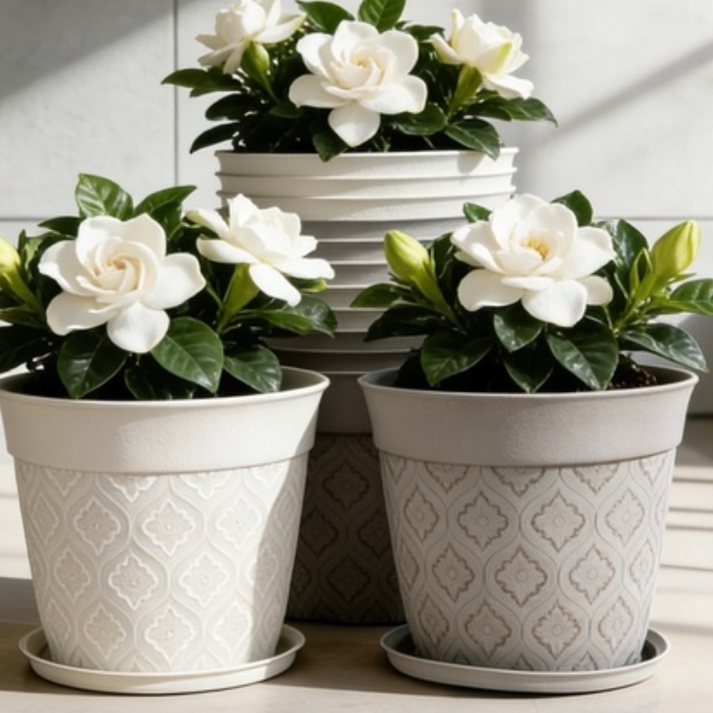 8in Flower Pot With Drainage H - Echeveria Succulent のレビューと価格