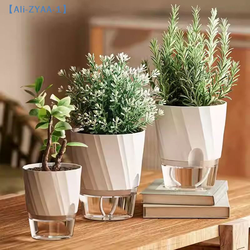 【ZYAA-1】Lazy Hydroponic Flower - Aloe Vera Pot のレビューと価格