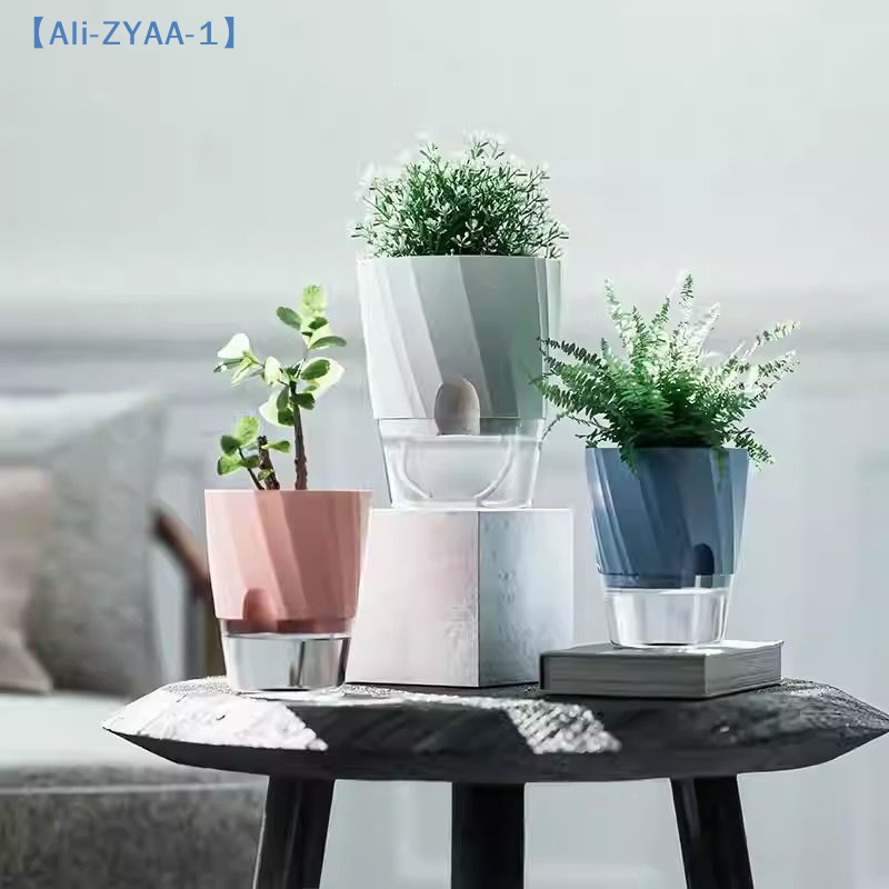 【ZYAA-1】Lazy Hydroponic Flower - Aloe Vera Pot のレビューと価格