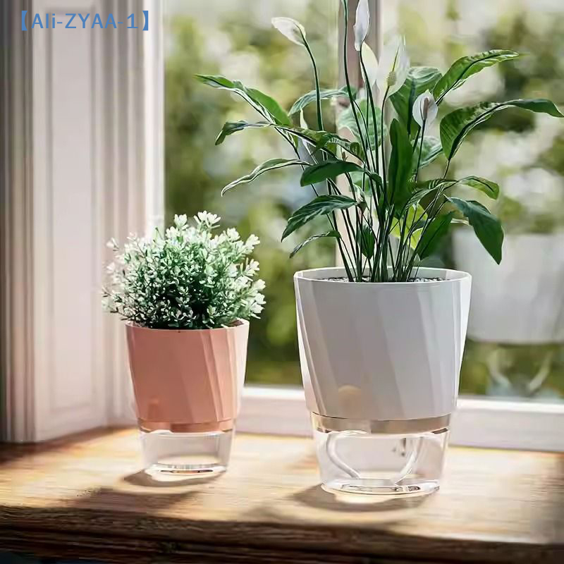 【ZYAA-1】Lazy Hydroponic Flower - Aloe Vera Pot のレビューと価格