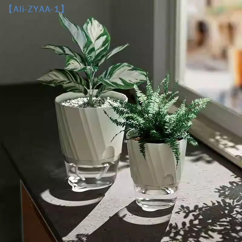 【ZYAA-1】Lazy Hydroponic Flower - Aloe Vera Pot のレビューと価格