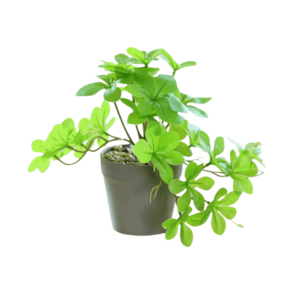 Bonsai Artificial Bonsai Plant - Spider Plant Hanging のレビューと価格