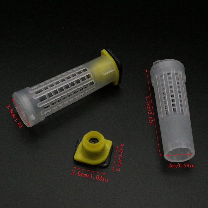 1 Set Bees Tools Cages King Qu - Begonia Rex のレビューと価格