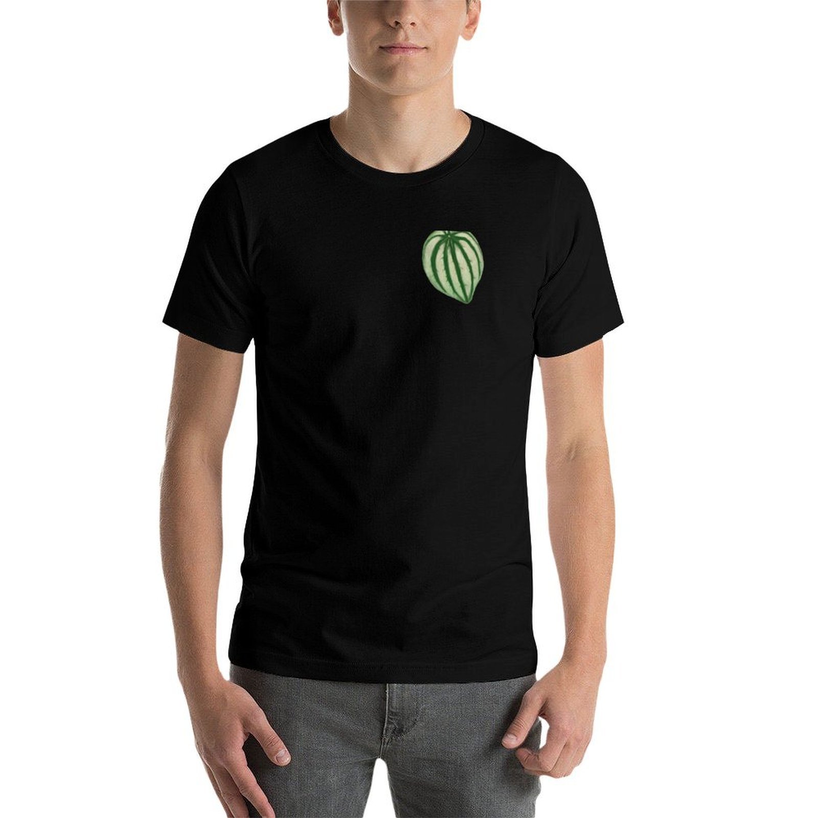 Watermelon Peperomia T-Shirt D - Peperomia Watermelon のレビューと価格