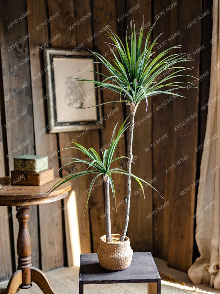 Light Luxury Simulation Green  - Dracaena Marginata のレビューと価格