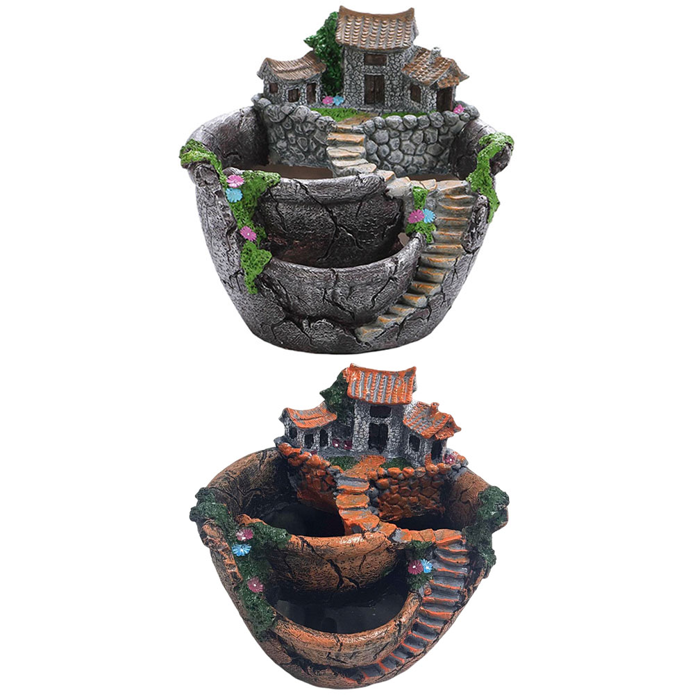 Succulent Pot Vintage Multi Po - Echeveria Succulent のレビューと価格