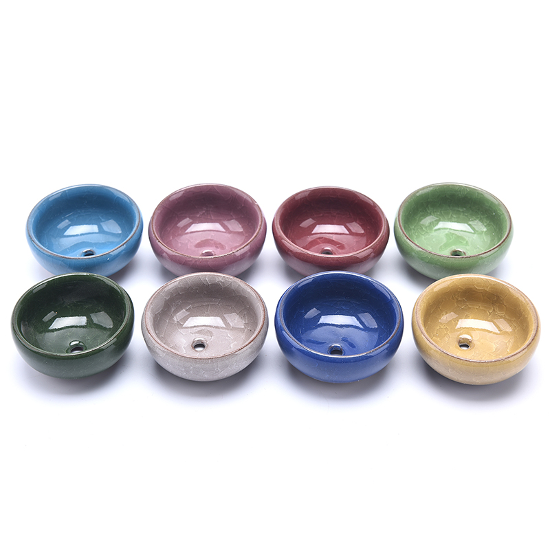 Cute Ice-Crack Glaze Flower Ce - Echeveria Succulent のレビューと価格