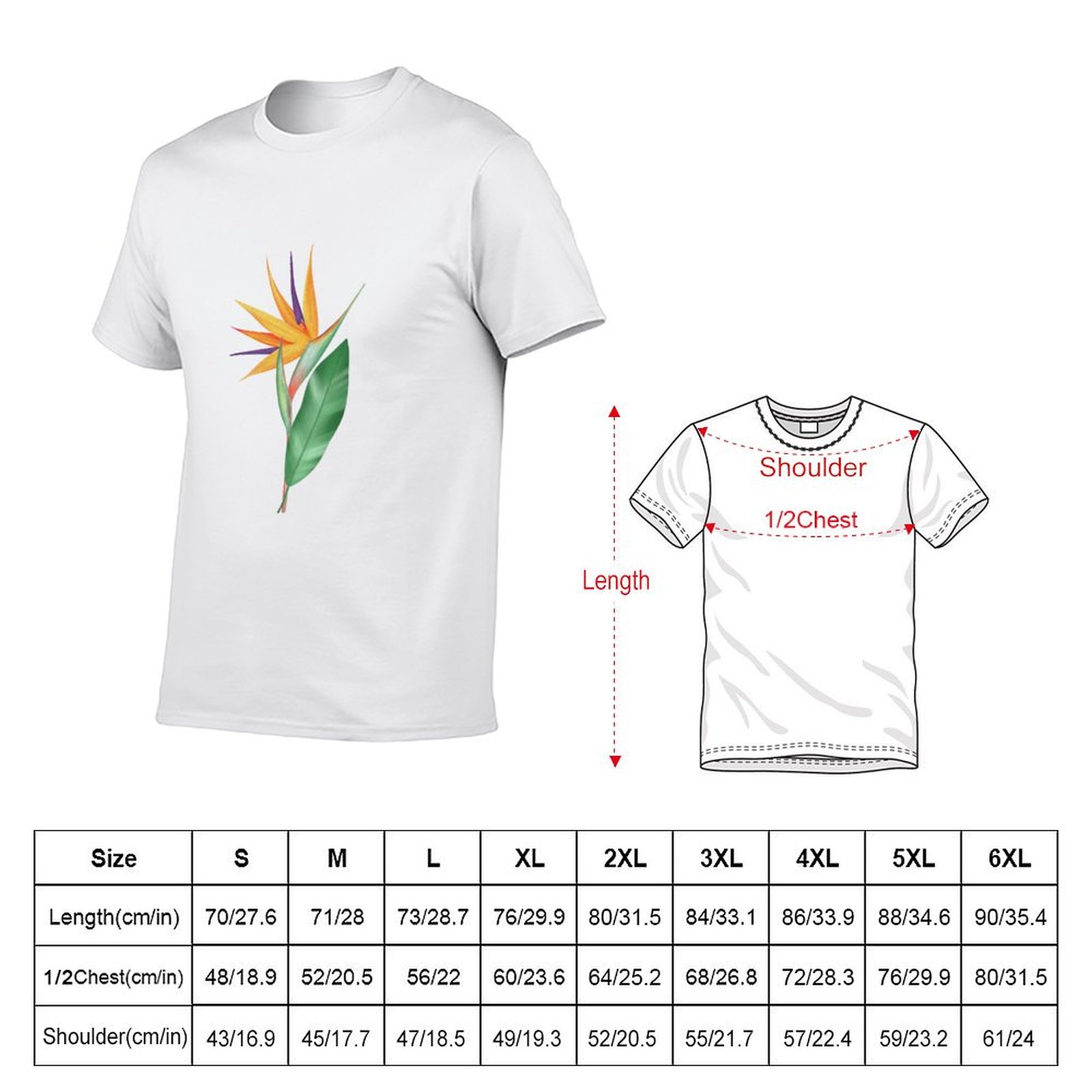 Watercolor bird of paradise fl - Bird Paradise Strelitzia のレビューと価格