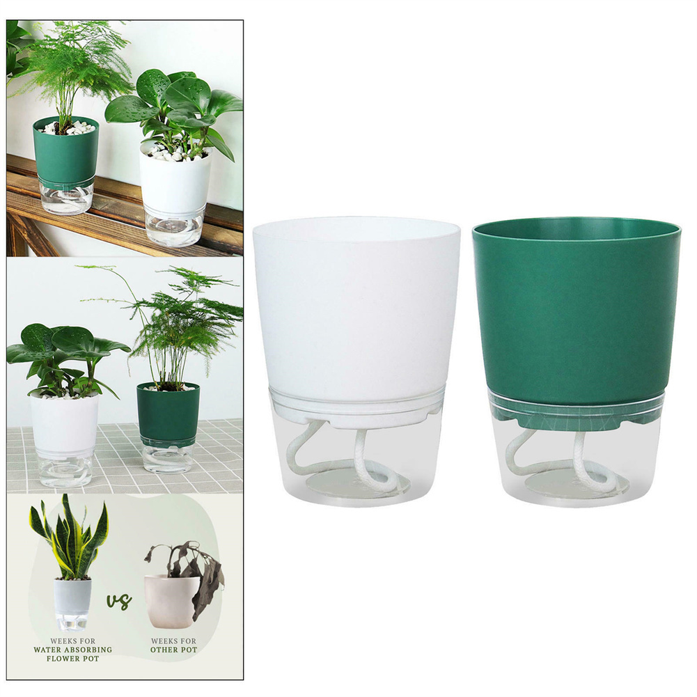 Lazy Hydroponic Flower Pot Aut - Aloe Vera Pot のレビューと価格