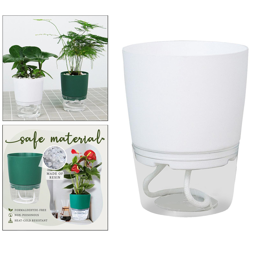 Lazy Hydroponic Flower Pot Aut - Aloe Vera Pot のレビューと価格