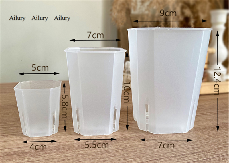 Plastic Diamond Pot Transparen - Aloe Vera Pot のレビューと価格