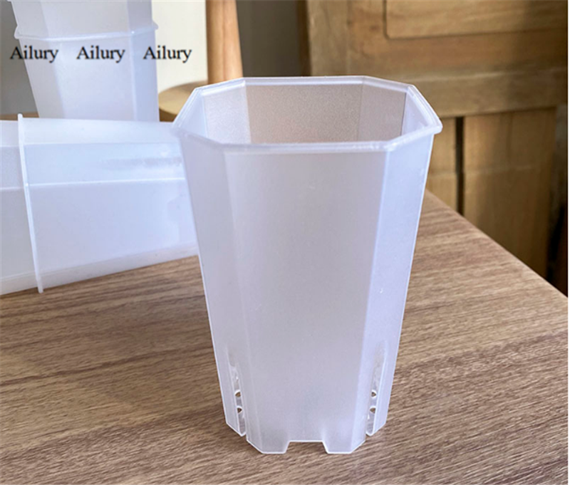 Plastic Diamond Pot Transparen - Aloe Vera Pot のレビューと価格