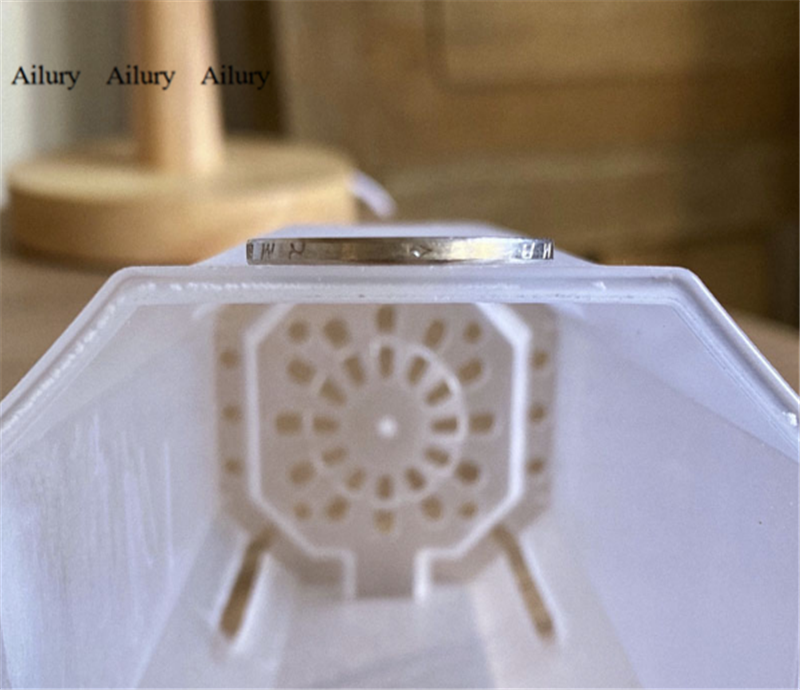 Plastic Diamond Pot Transparen - Aloe Vera Pot のレビューと価格