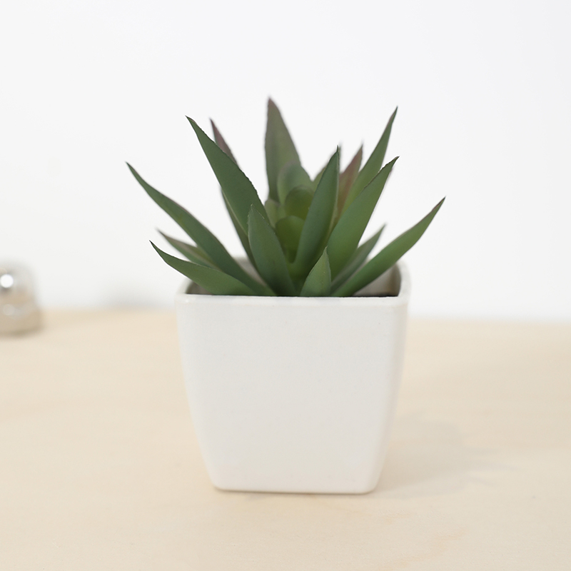 Mini Artificial Succulent Fair - Echeveria Succulent のレビューと価格