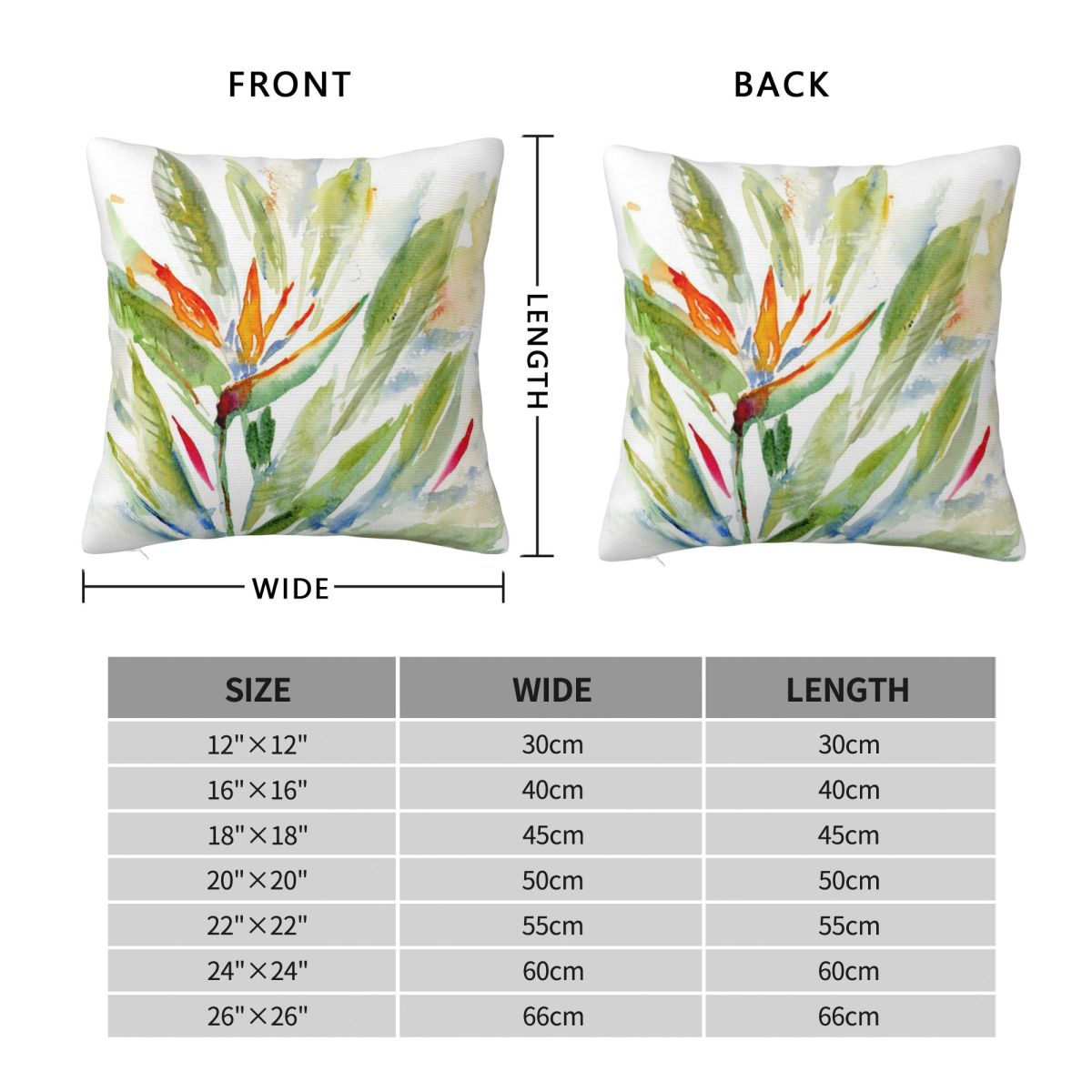 Bird Of Paradise Strelitzia Sq - Bird Paradise Strelitzia のレビューと価格