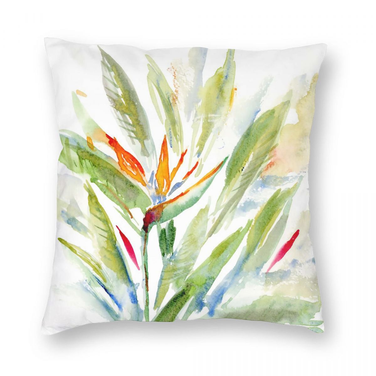 Bird Of Paradise Strelitzia Sq - Bird Paradise Strelitzia のレビューと価格