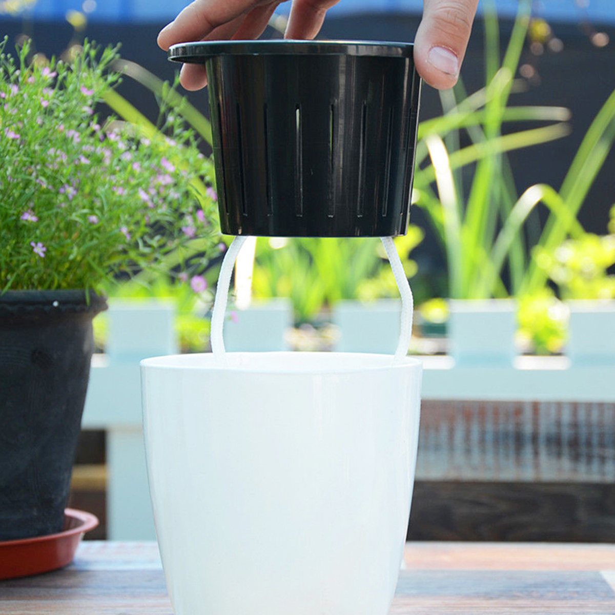 6/12Pcs Self-Watering Flower P - Aloe Vera Pot のレビューと価格