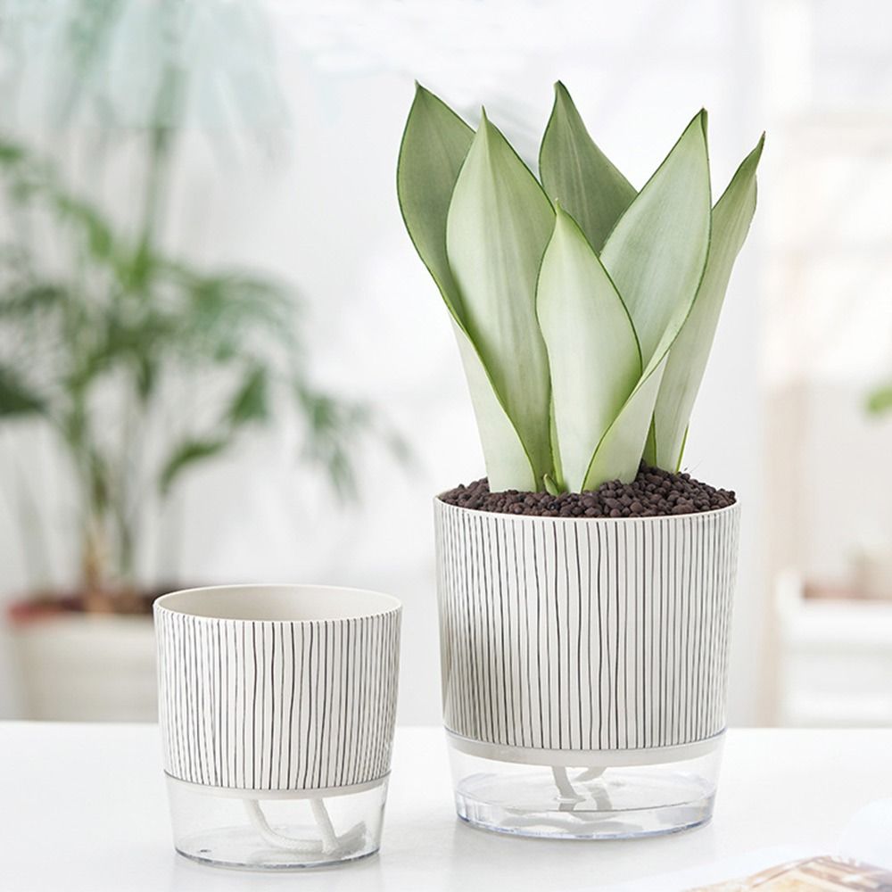 Transparent Self-watering Plan - Aloe Vera Pot のレビューと価格