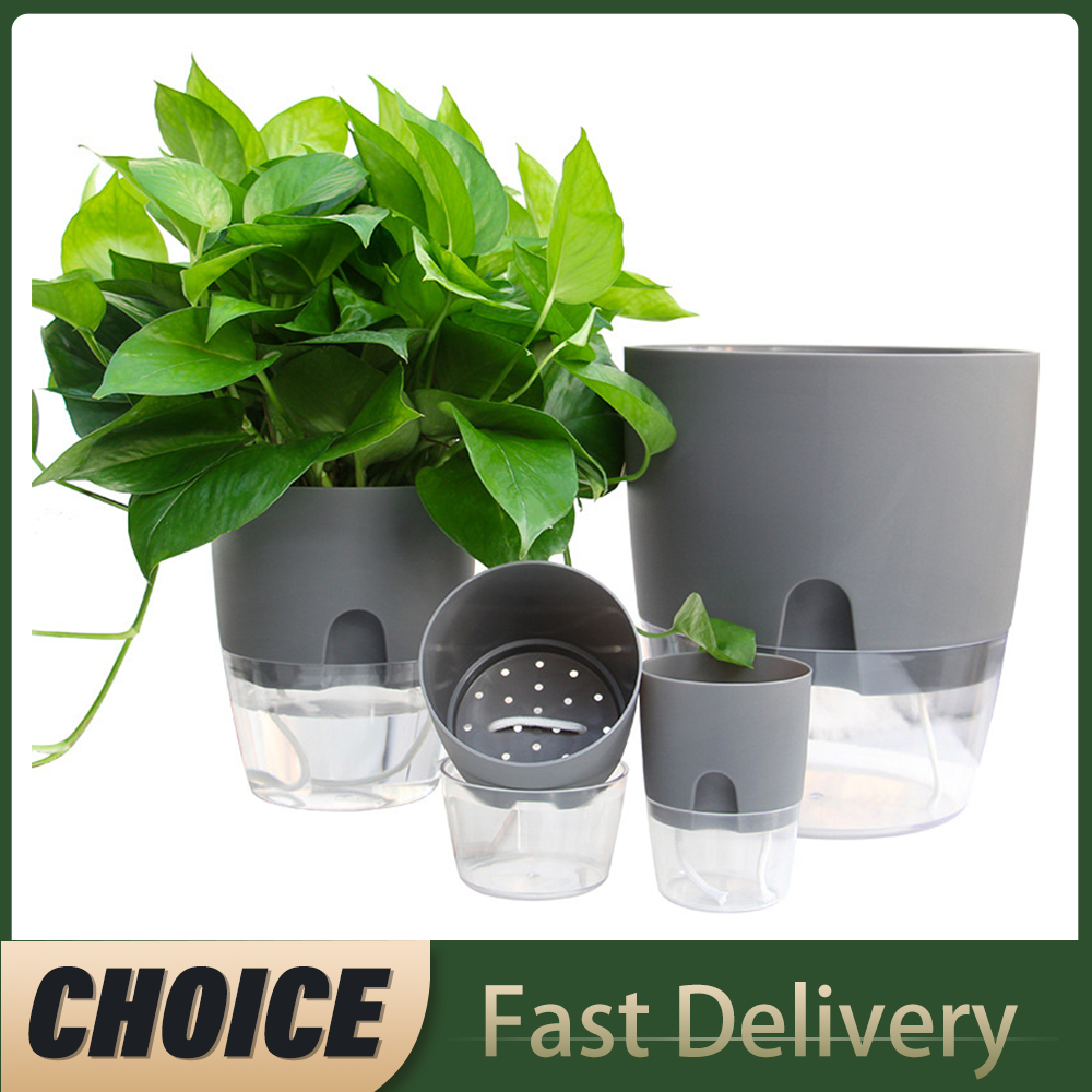 Transparent Double Layer Plast - Aloe Vera Pot のレビューと価格