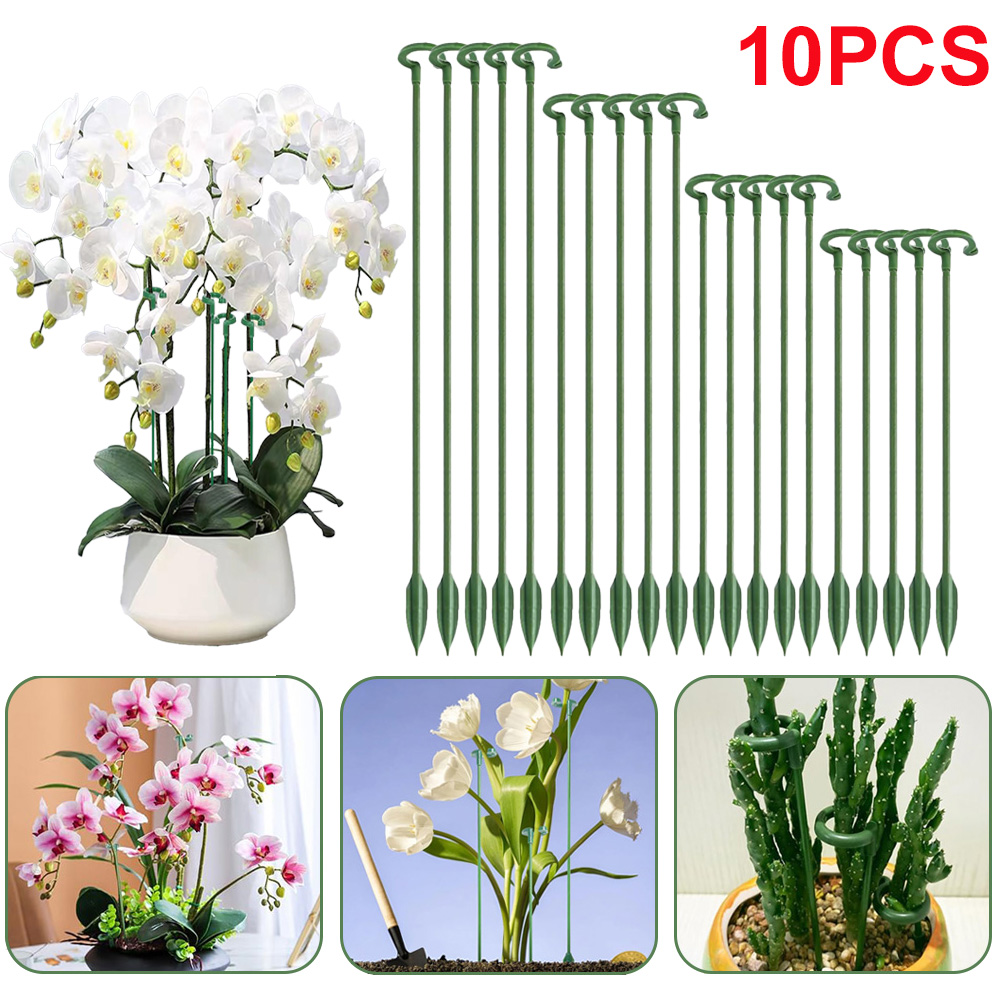5/10pcs Plant Support Stakes P - Echeveria Succulent のレビューと価格