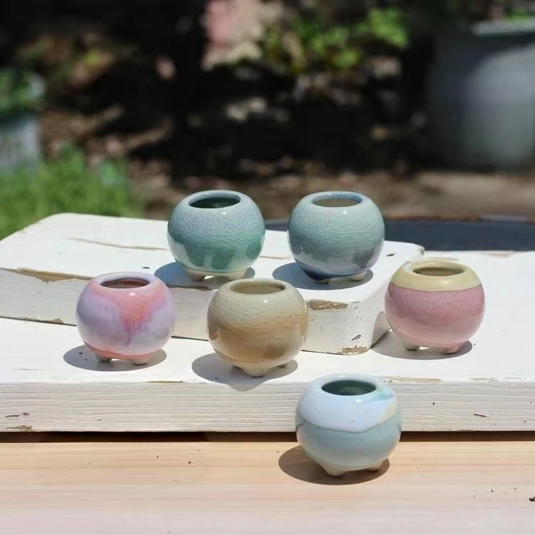 6Pcs Mini Flowerpot Succulents - Echeveria Succulent のレビューと価格